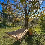 La Giuncaia Hébergement de vacances *
