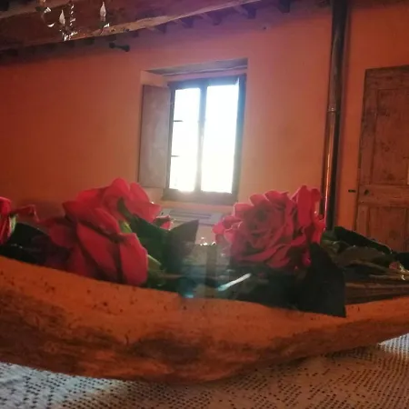 La Giuncaia Holiday home