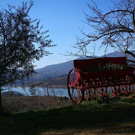 La Giuncaia
