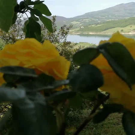 Holiday home La Giuncaia *
