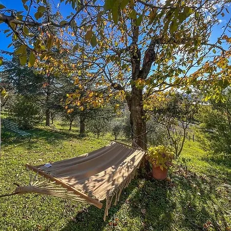La Giuncaia Holiday home *