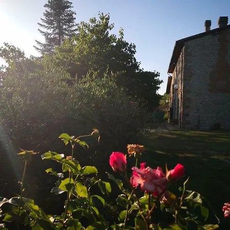 Holiday home La Giuncaia Pieve Santo Stefano